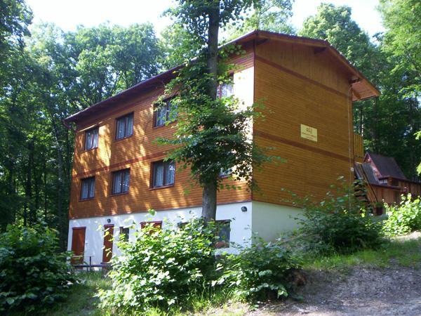 Lesni Penzion Vranov Vranov nad Dyjí Buitenkant foto