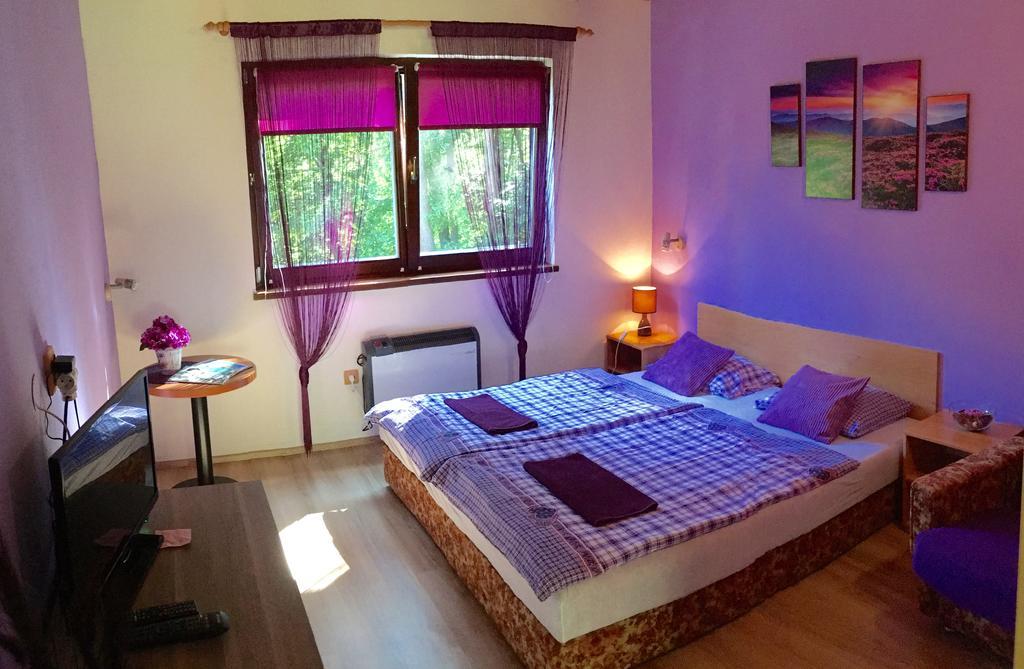 Lesni Penzion Vranov Vranov nad Dyjí Buitenkant foto